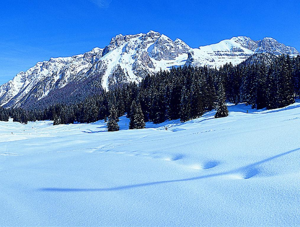 Campiglio Trilocale Monte Spinale Appartement Madonna Kamer foto